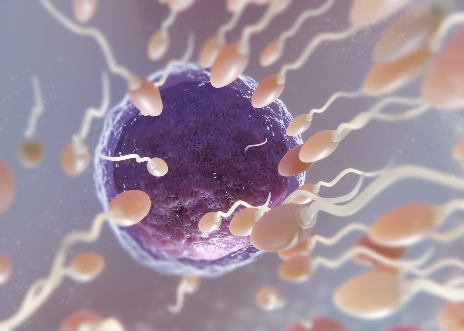 Istoria insemninării in vitro – cum a apărut și cum a evoluat?