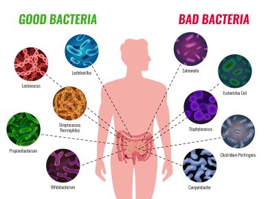 Clostridium difficile