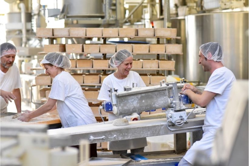 soft gestiune productie